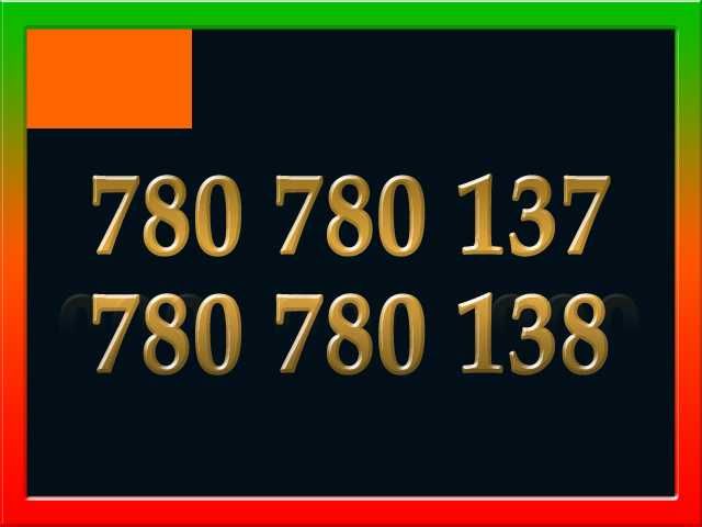 780_780_137 + 780_780_138 Złoty Numer Starter Orange Pakiet 2 Numerów