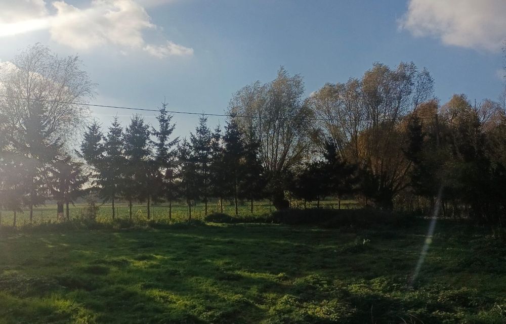 Piękna działka budowlana z warunkami zabudowy w Janowie, 8 km od E-ga