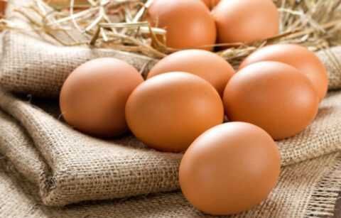 Домашні яйця, яйца курячі.