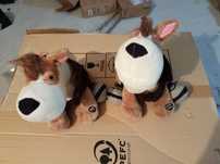 Peluche Start