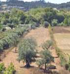 Terreno  para arrendamento