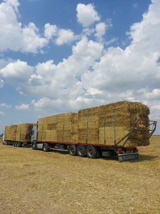 Słoma pszenna jęczmienna w dużych kostkach Kulka # transport