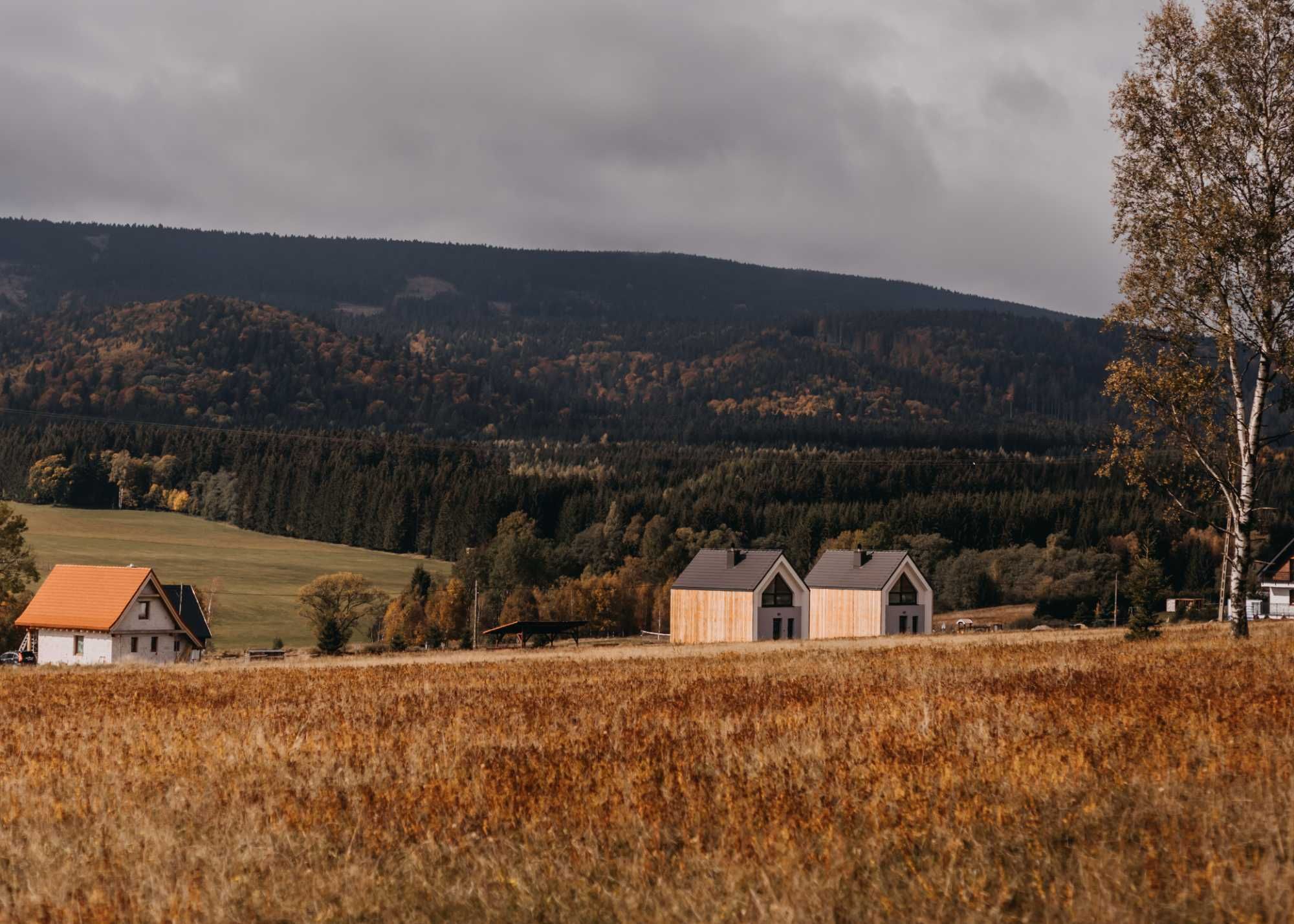 Zieleniec - domek, wakacje, góry, rowery, relax - Lasosfera Lasówka