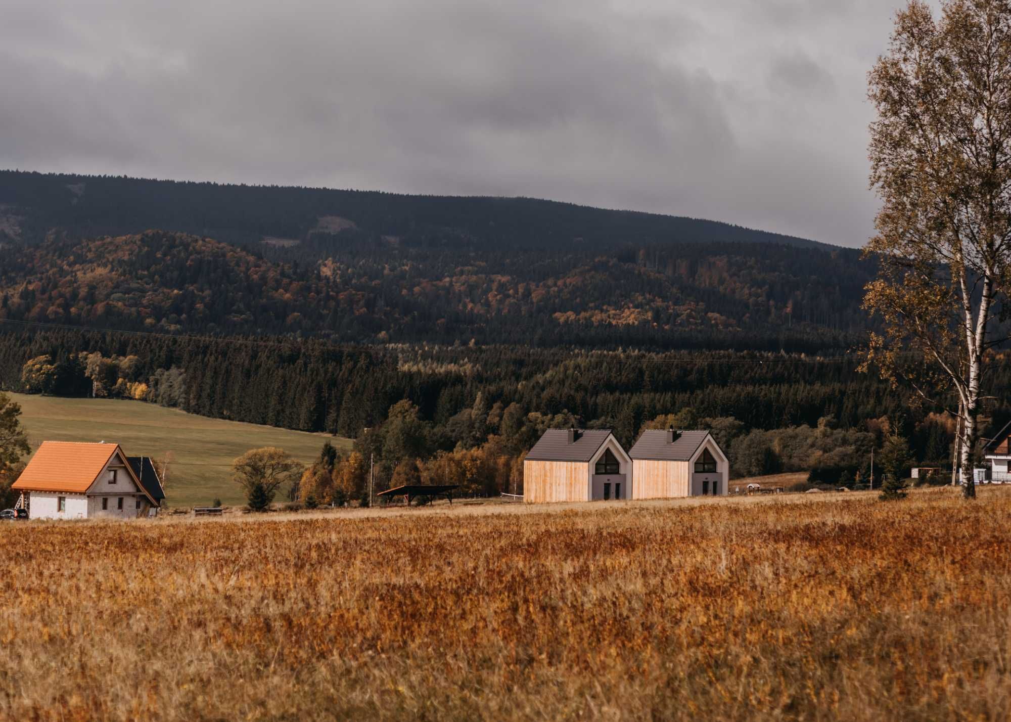 Domek do wynajęcia, góry, las, cisza - Lasosfera Lasówka - Zieleniec