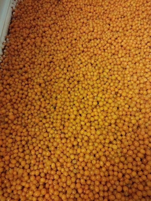 Обліпиха ягода свіжа морожена крупна