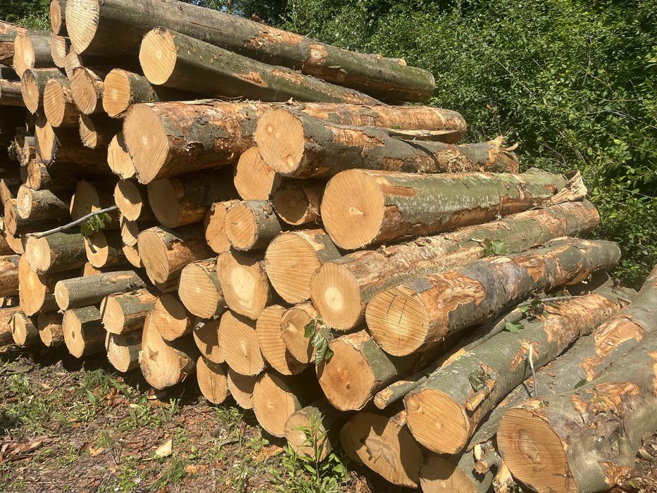 Drewno opałowe kominkowe mieszane GRATIS trasnport