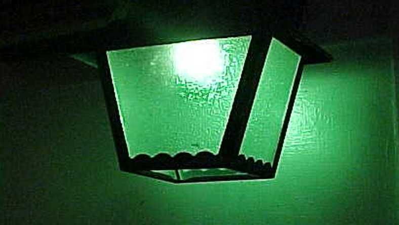 ŻARÓWKA DEKORACYJNA duża z drucikami klimatyczna zielona