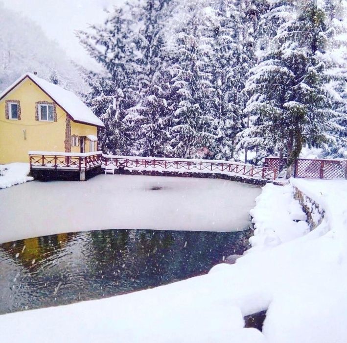 Новий рік Різдво Подобово в ШАЯН БАНЯ будинок Закарпатье Карпаты