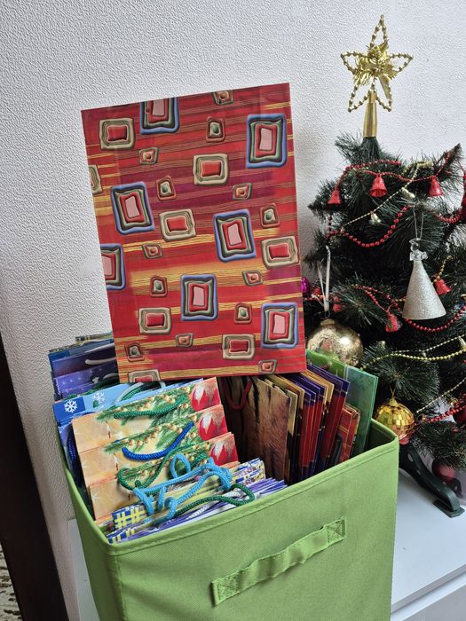 Пакет подарунковий 27×17  10 штук за 50 грн