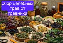 Фито чай травы лекарственные травы лікарські трави сбор трав чай трава