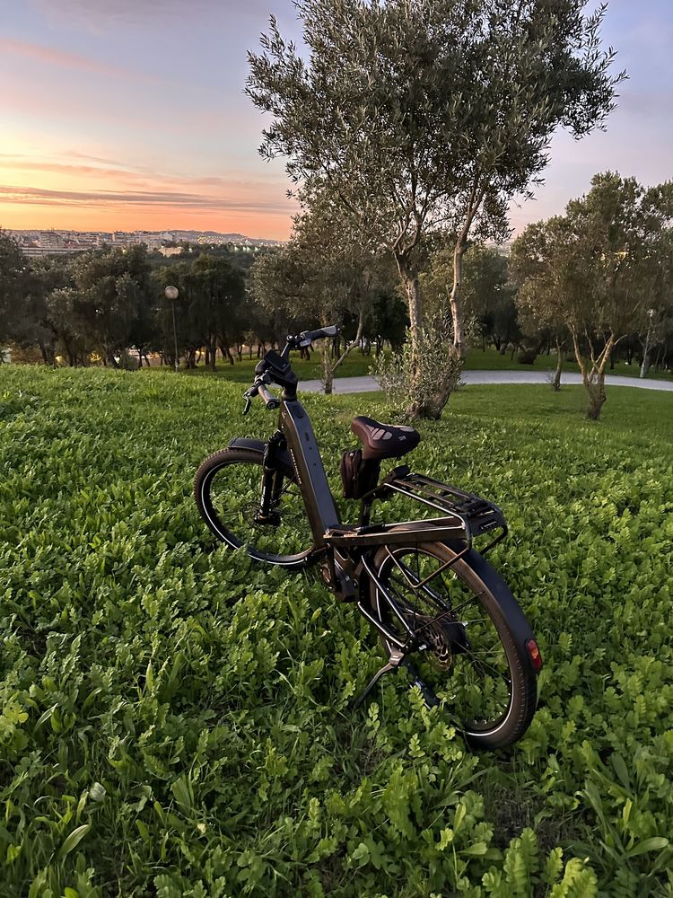 Bicicleta elétrica Riese e Muller