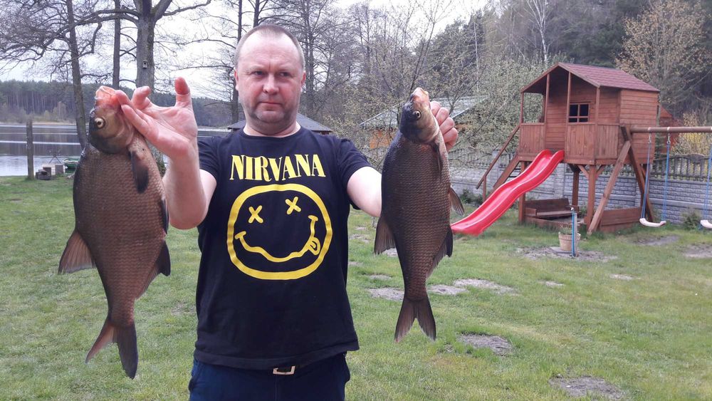 Wynajem domków letniskowych nad jeziorem Kazub  WOLNE TERMINY
