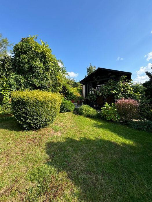 Działka z domkiem ROD TRUSKAWKA 300m2