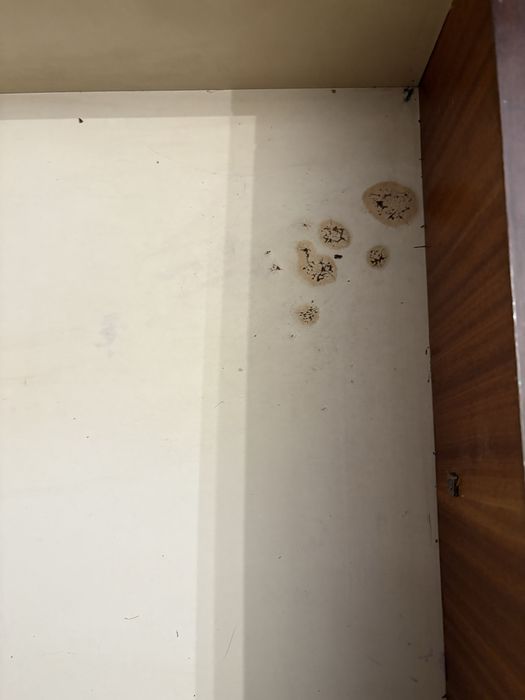 Meblościanka ze zlotymi okuciami