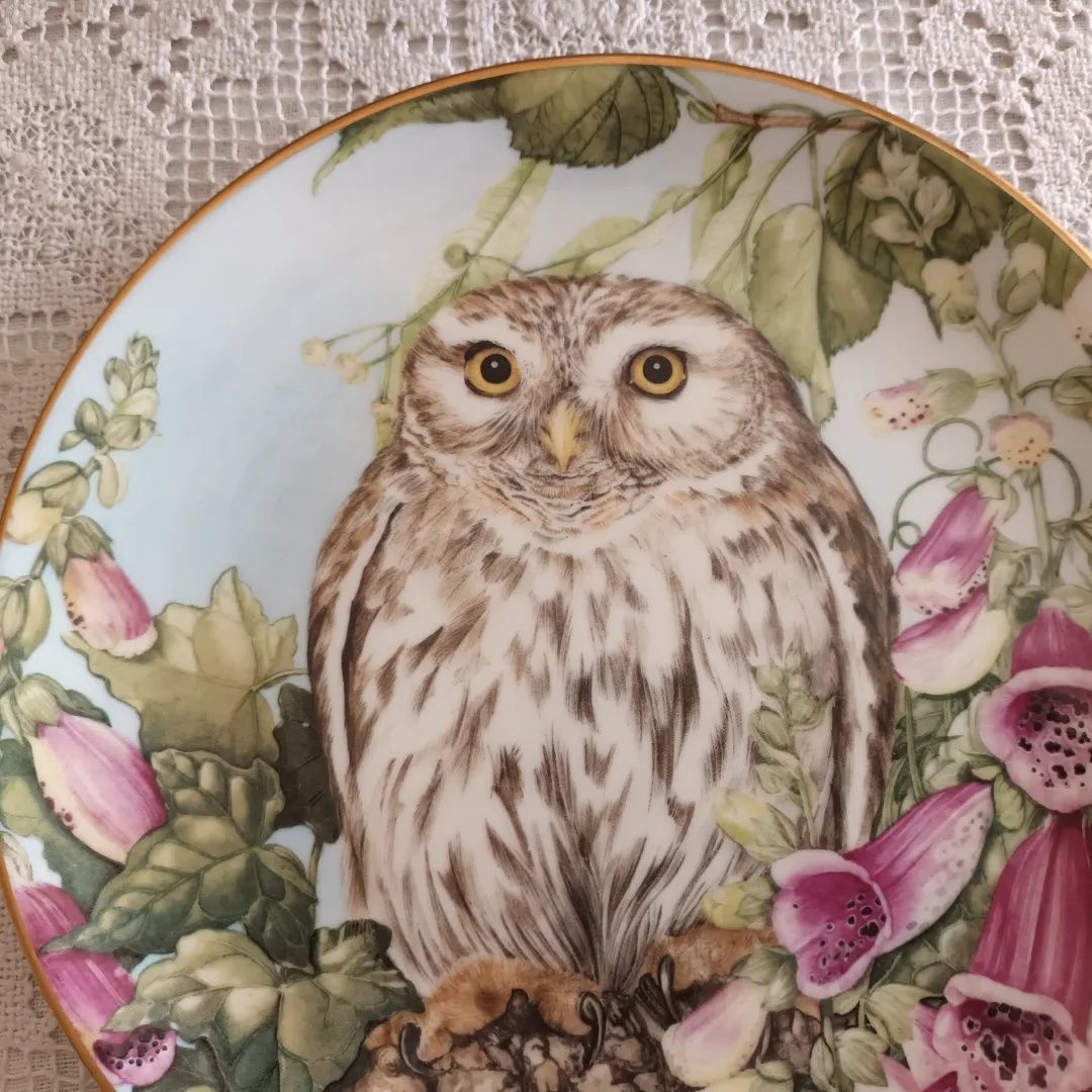 Talerz kolekcjonerski sowa The Little Owl