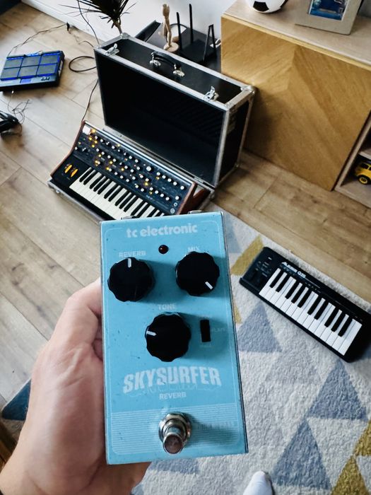 Reverb tc electronic skysurfer