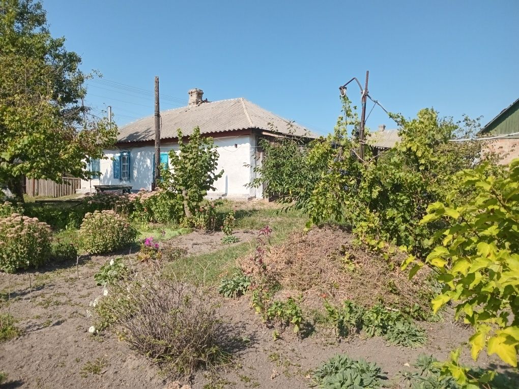 Продається будинок с. Звенигородка