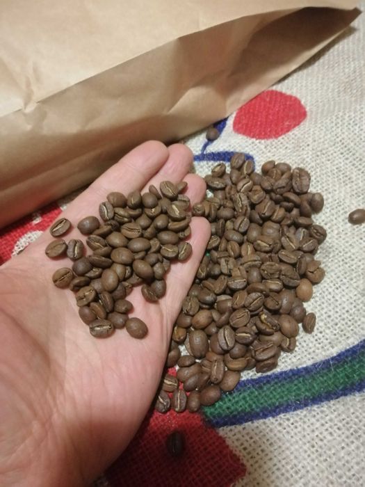 Кава зернова! Гондурас EL PARIASO найкраший смак своеЇ краіни!!