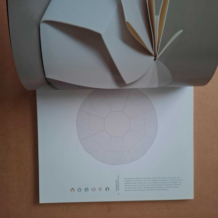 "Prototipos de packing" de Edward Denison