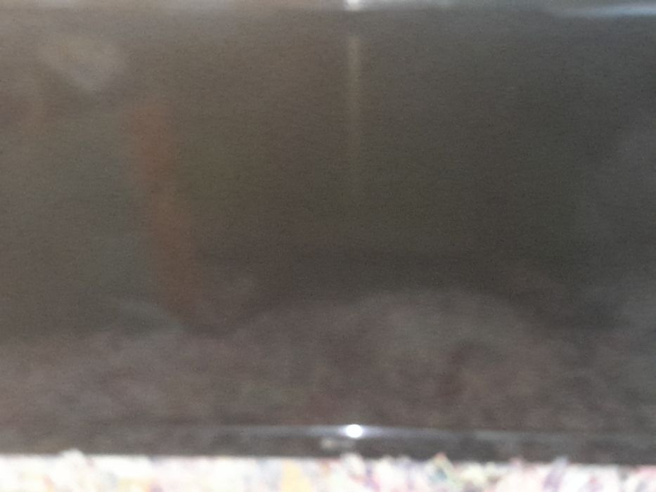 Televisão lg das novas