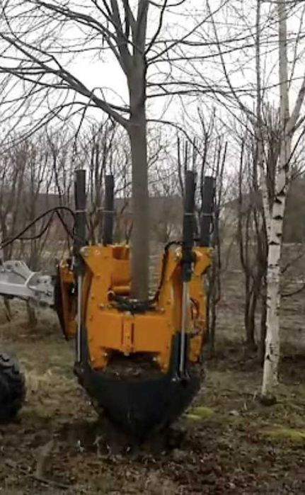 Wynajem, miniładowarka, glebogryzarka Multione 8.5 / Avant