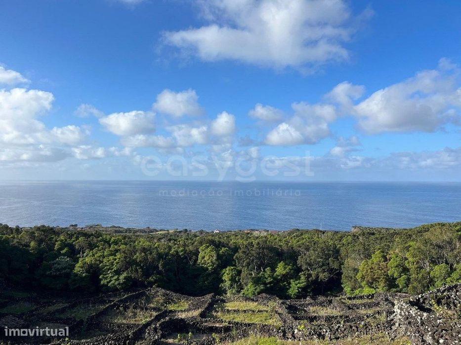 Terreno Privado com Vista Mar, Montanha e Vinhas - Exclusividade em...