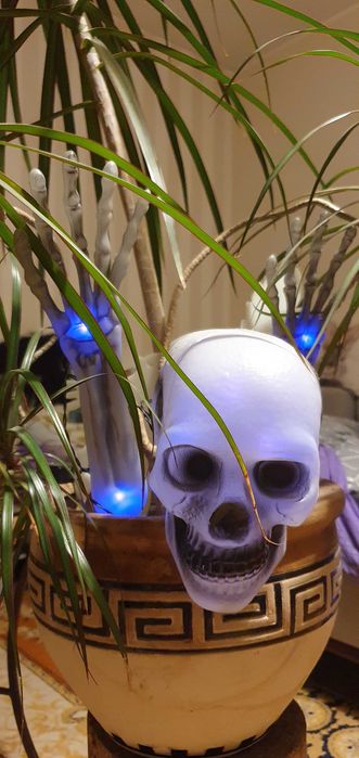 Czaszka i ręce, Szkielet, Kościotrup LED Halloween.