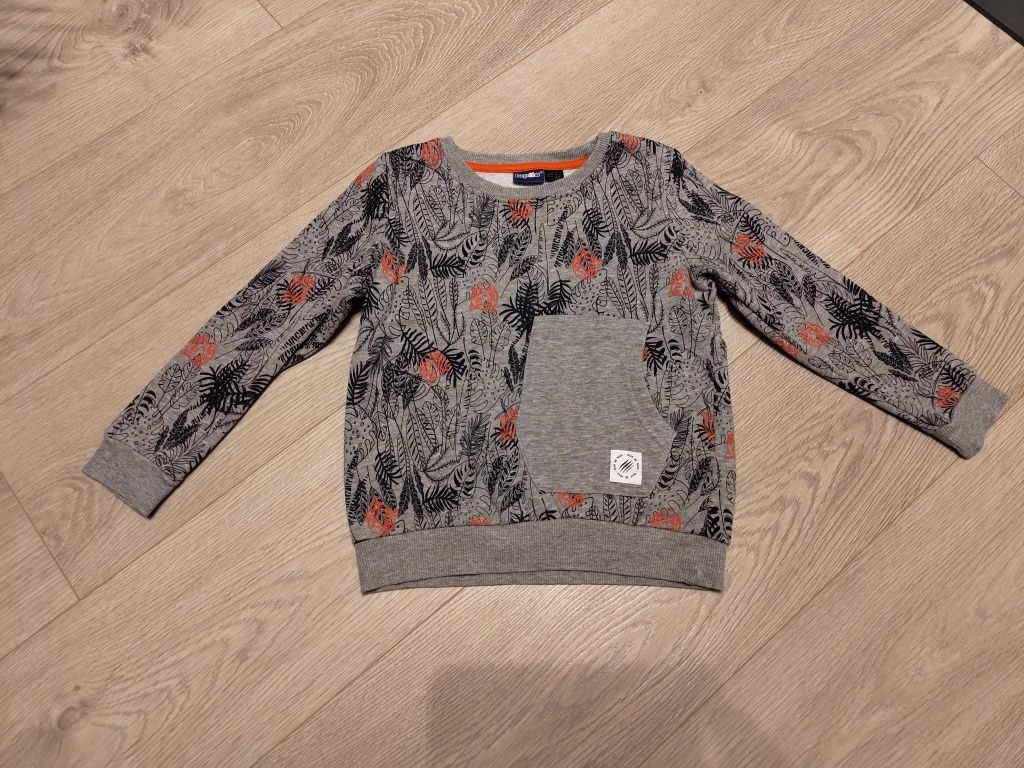 Bluza chłopięca Lupilu 110/116