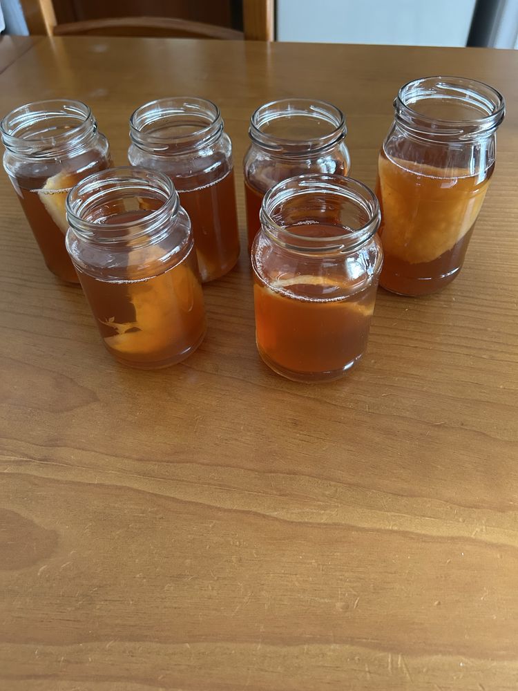 Vendo combucha, e um bom probiotico.