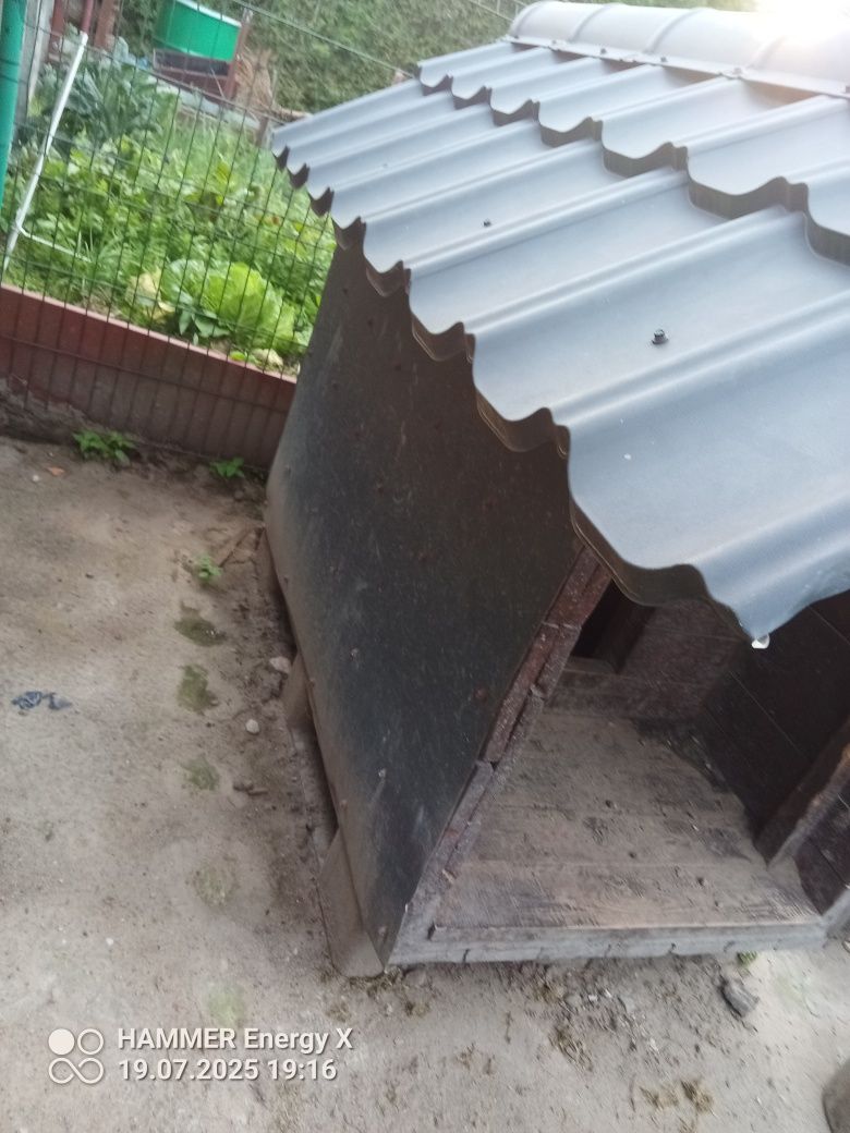 Buda dla psa solidna