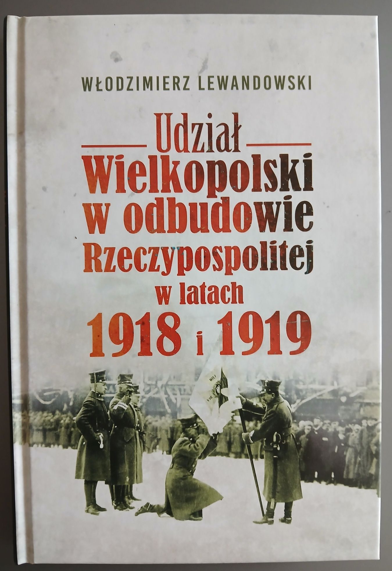 Udział Wielkopolski w odbudowie Rzeczypospolitej w latach 1918 i 1919