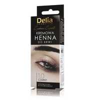 Delia Eyebrow Expert 1.0 Czerń Kremowa Henna Do Brwi 15Ml