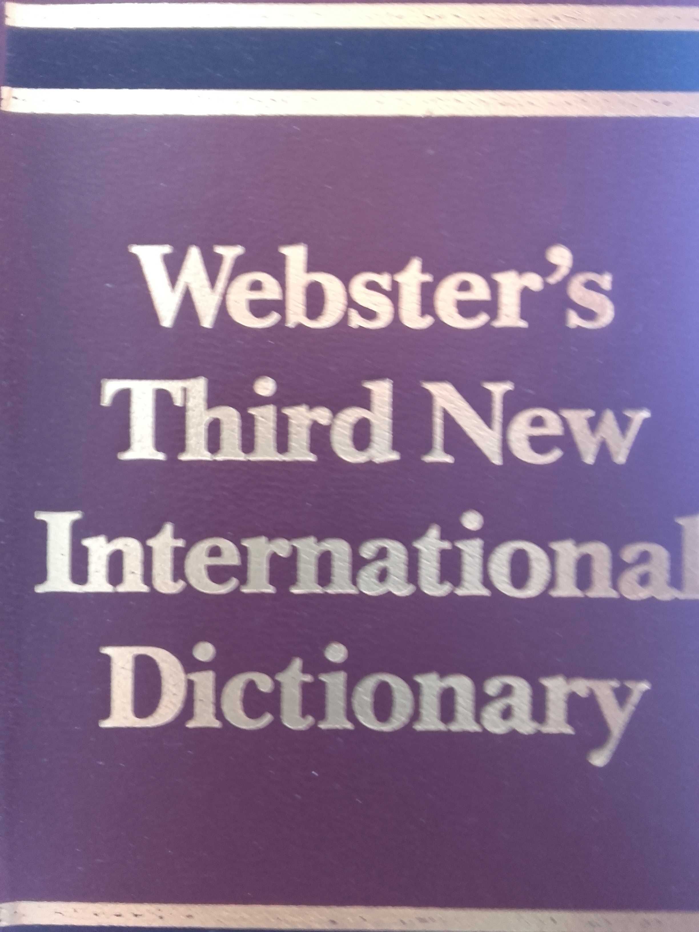 Websters third new international dictionary