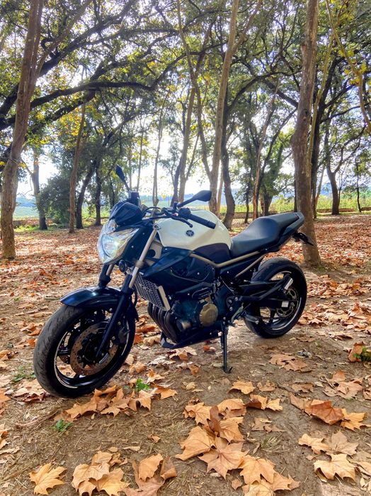 Moto XJ6 ( estimada)