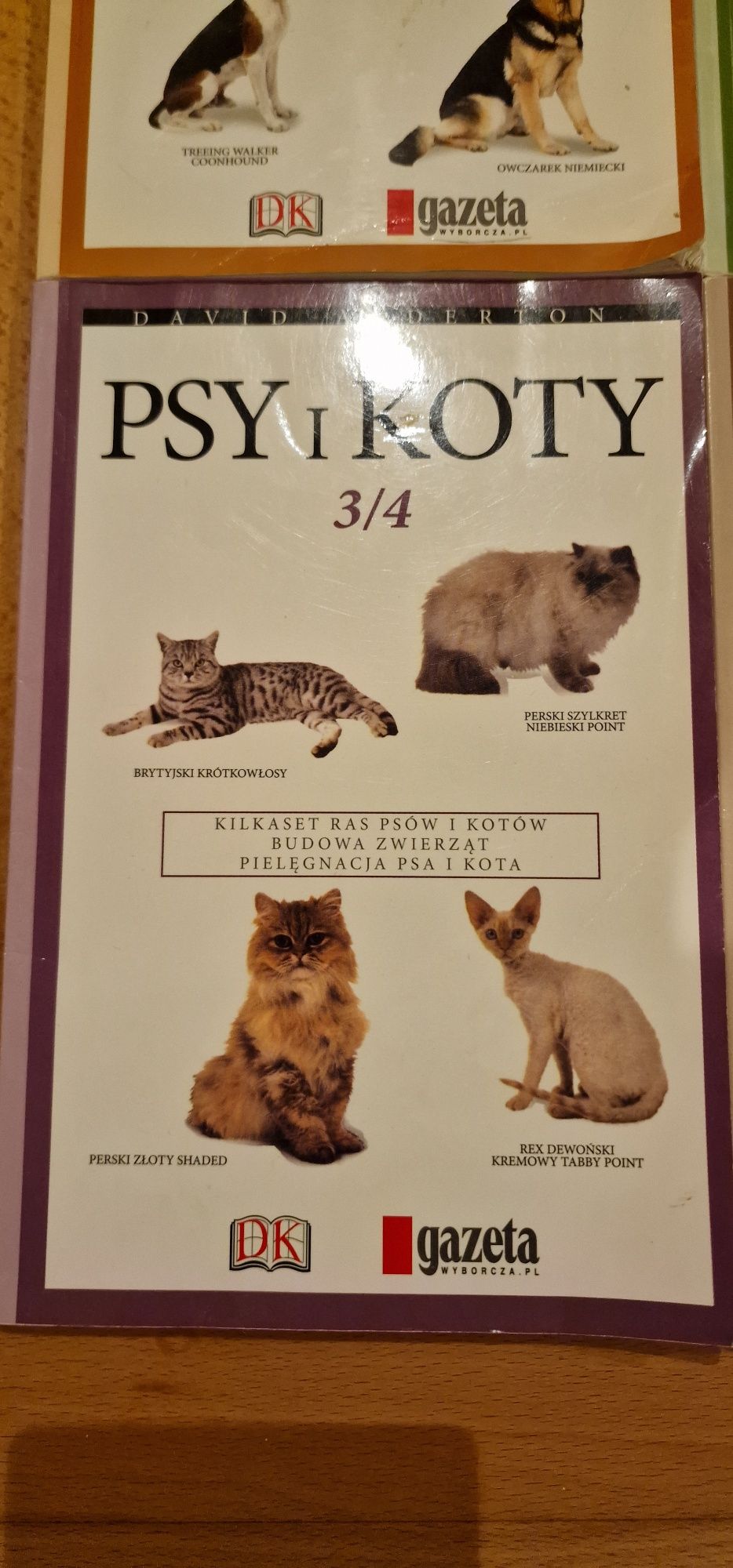 Seria książek o kotach i psach