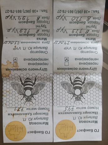 Продам бджолосімї та бджолопакети бакфаст .