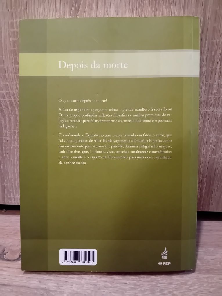 Depois da Morte - Léon Denis