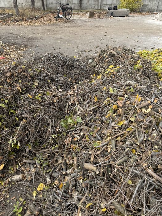 Послуга подрібнювач гілок до 80мм