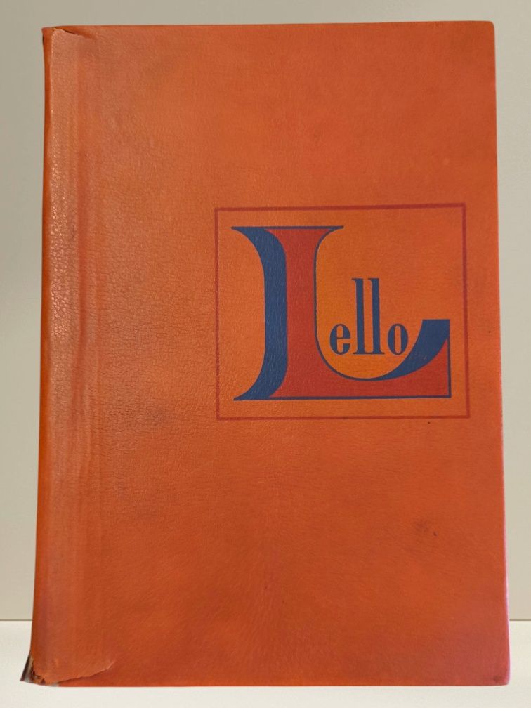 Dicionário Prático Ilustrado