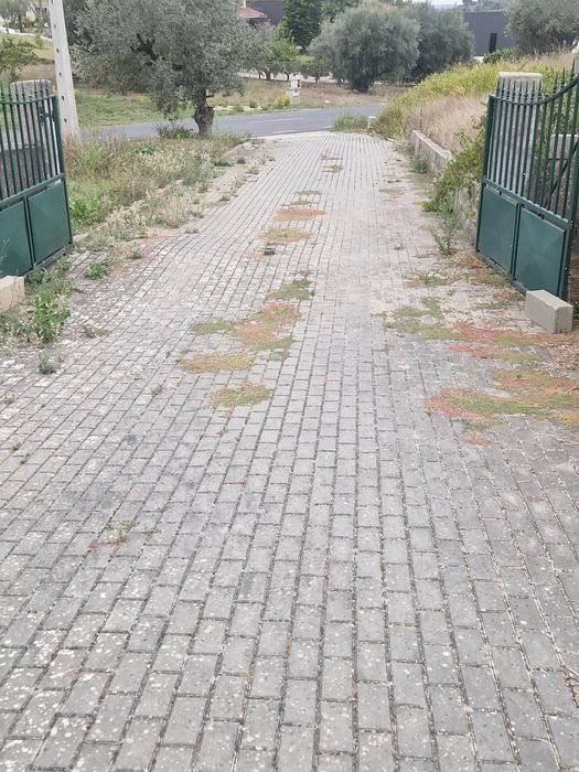 Limpeza de casas e terrenos