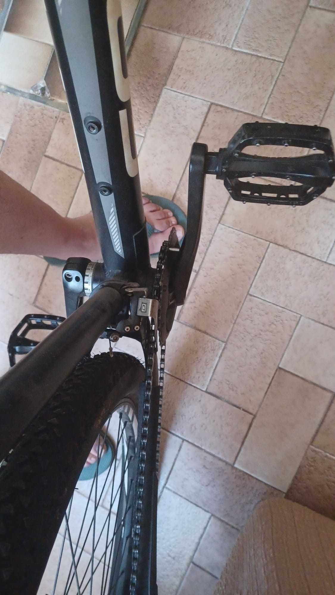 Bicicleta focus whistler lite 29