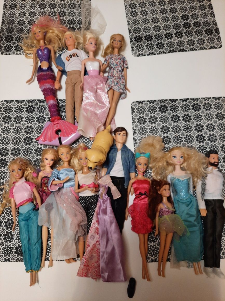 Zestaw lalki barbie,Elsa Anna , 3x Ken, pies oraz rower