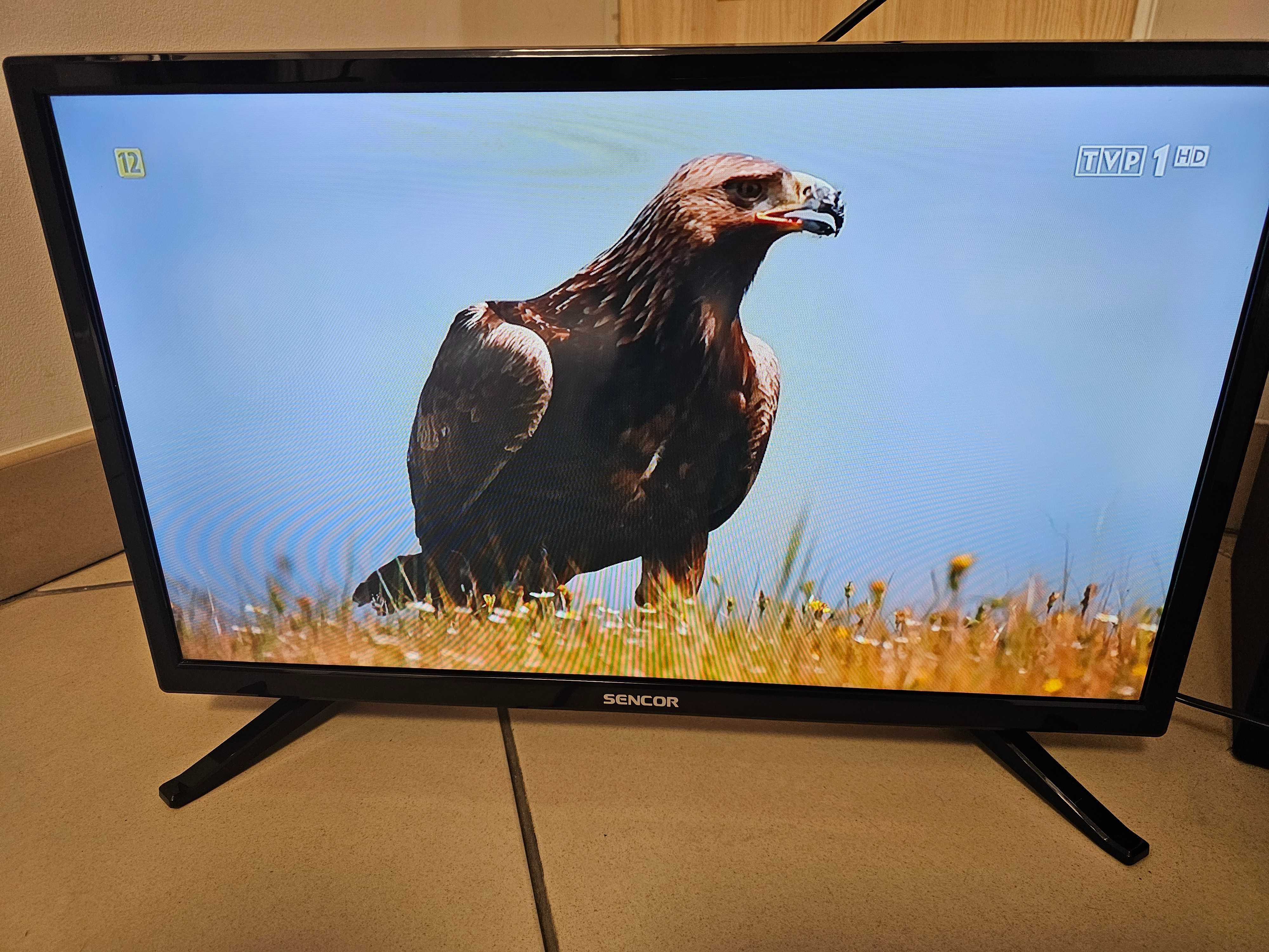 Telewizor 24" Sencor SLE 2462