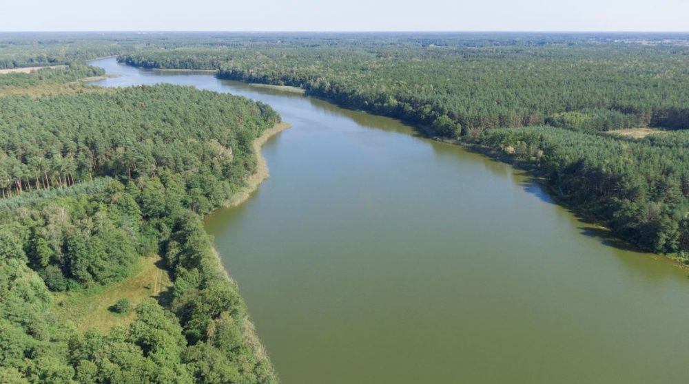 Działka budowlana 1500 m2 nad jeziorem w lesie