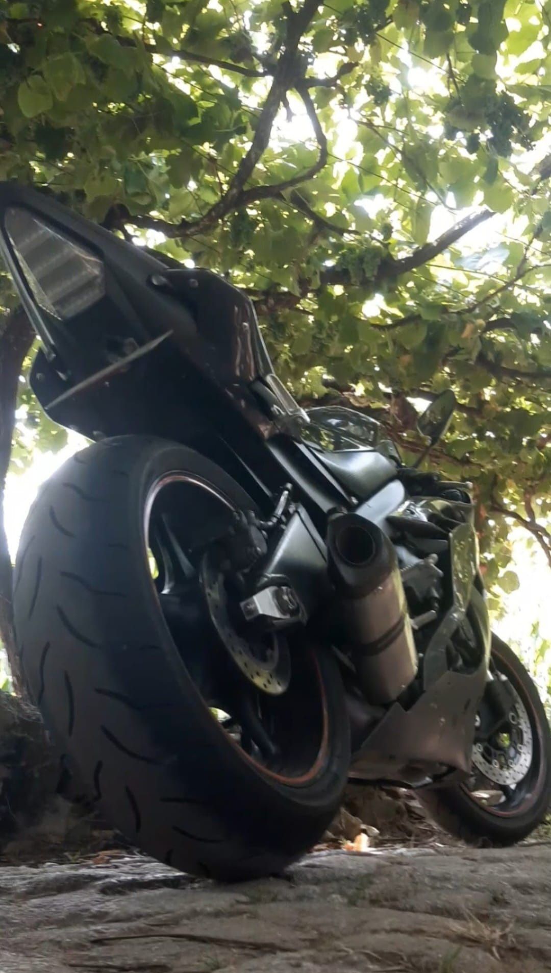 Moto Yamaha R6 YZf