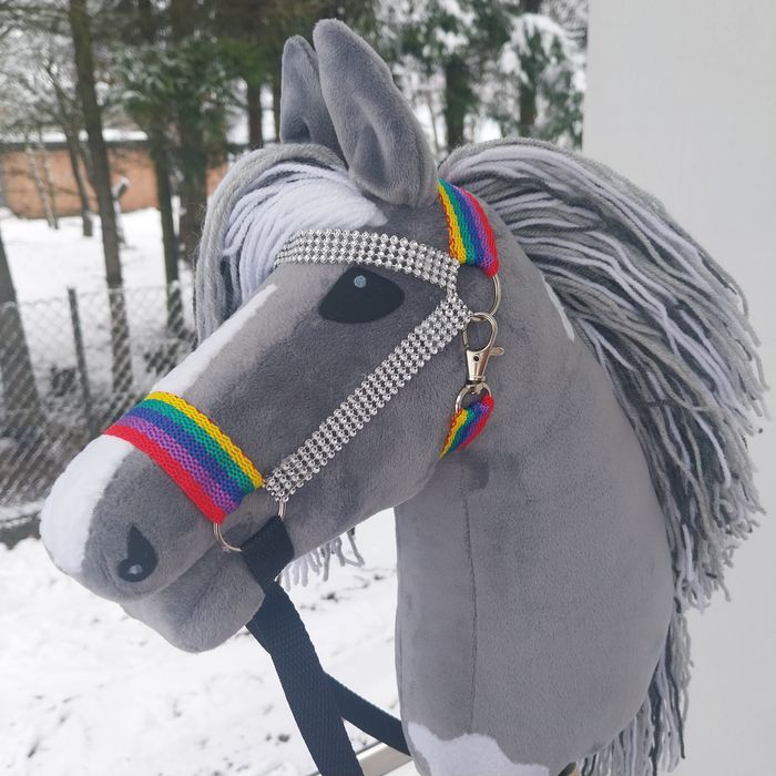 Hobby Horse-koń na kiju