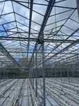 Szklarnia venlo 2700m2 holenderka