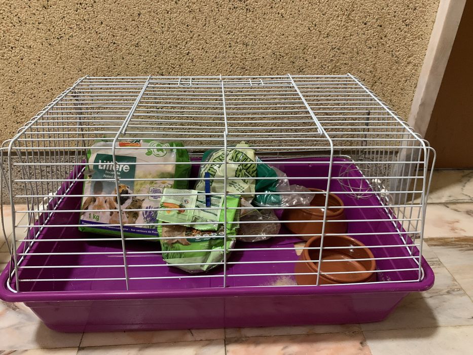 Gaiola roxa para animais