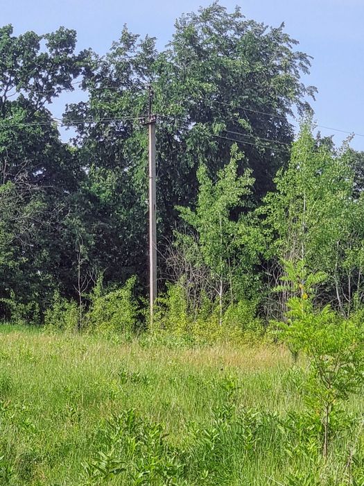 Продаж ділянки 12 сот Музичі / біля лісу та озера