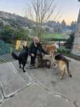 Treinador de cães